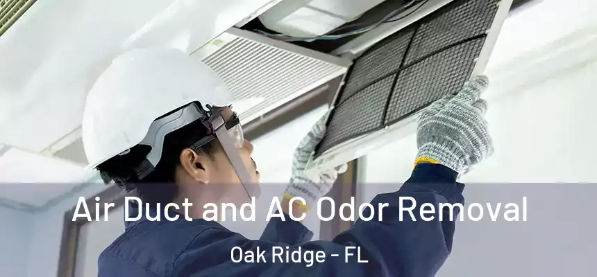 Air Duct and AC Odor Removal Oak Ridge - FL