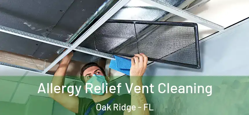 Allergy Relief Vent Cleaning Oak Ridge - FL