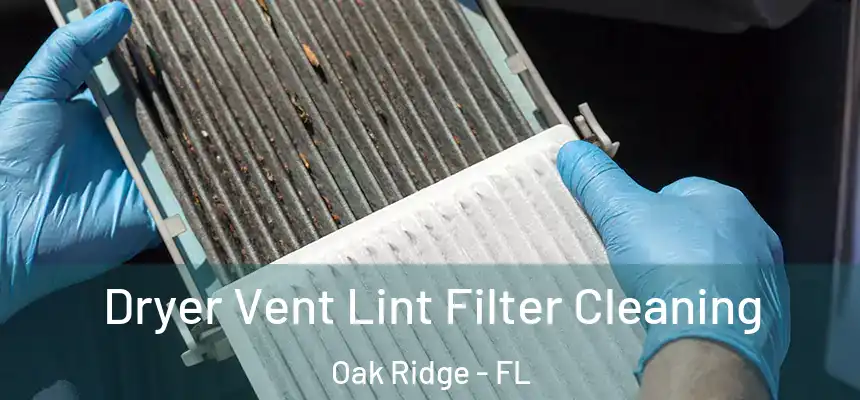 Dryer Vent Lint Filter Cleaning Oak Ridge - FL