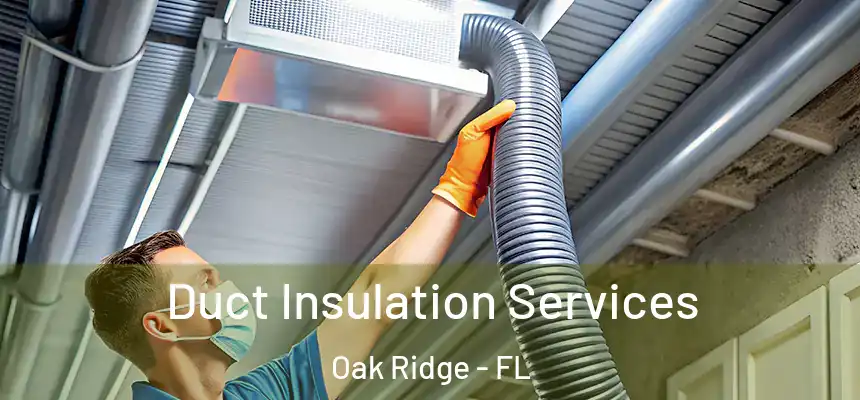 Duct Insulation Services Oak Ridge - FL