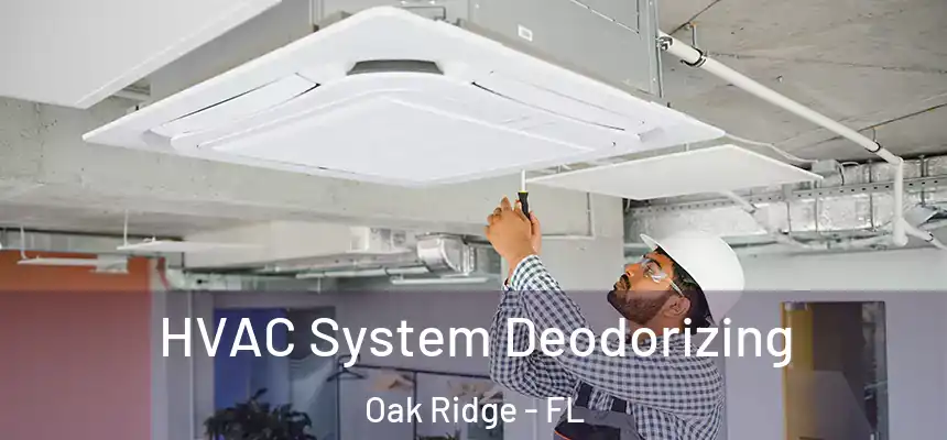 HVAC System Deodorizing Oak Ridge - FL