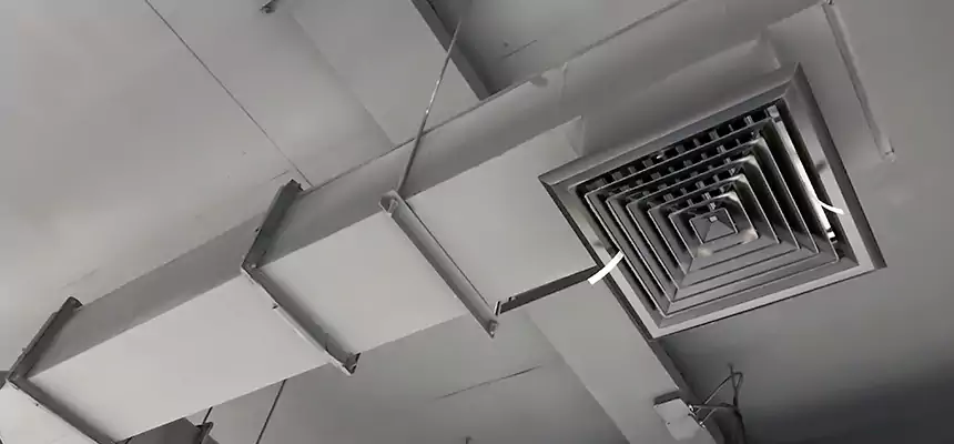 Our Rodent Droppings In Vents Services in Oak Ridge, FL