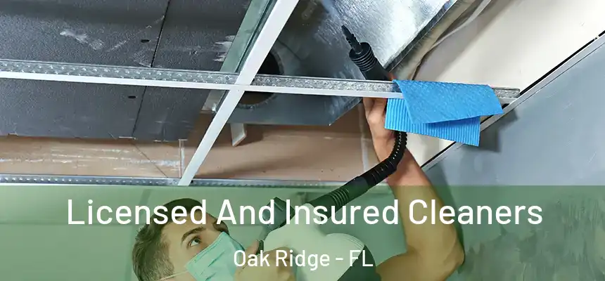 Licensed And Insured Cleaners Oak Ridge - FL