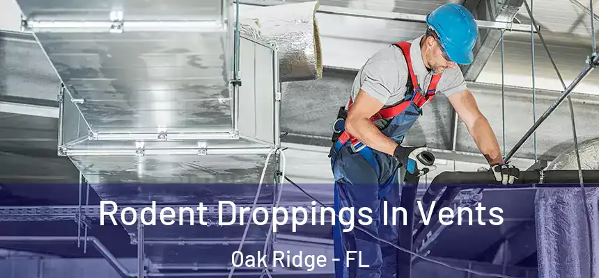 Rodent Droppings In Vents Oak Ridge - FL