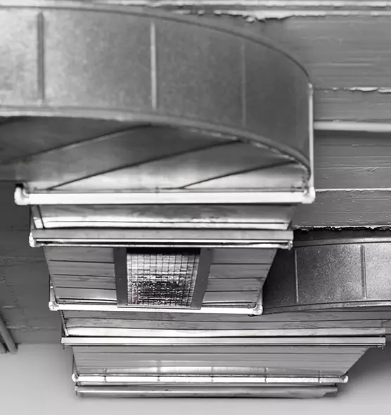 Professional Air Duct Pest Removal in Oak Ridge, FL